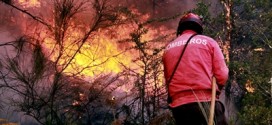 Incêndios destruíram mais 500 hectares em Seia