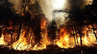 Quatro fogos activos, incluindo um no Parque Natural da Serra da Estrela e outro na Pampilhosa