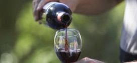 Produção de vinho do Dão pode ter quebra de 25 por cento este ano