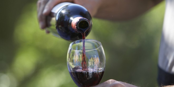 Produção de vinho do Dão pode ter quebra de 25 por cento este ano